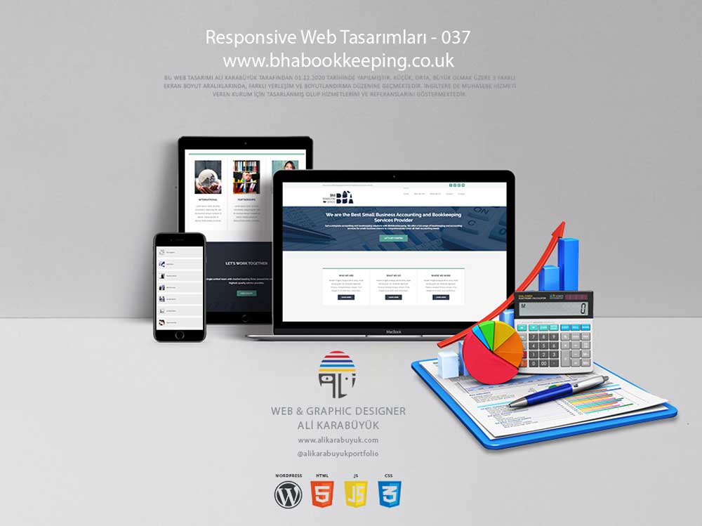 Muhasebeci Web Tasarımı