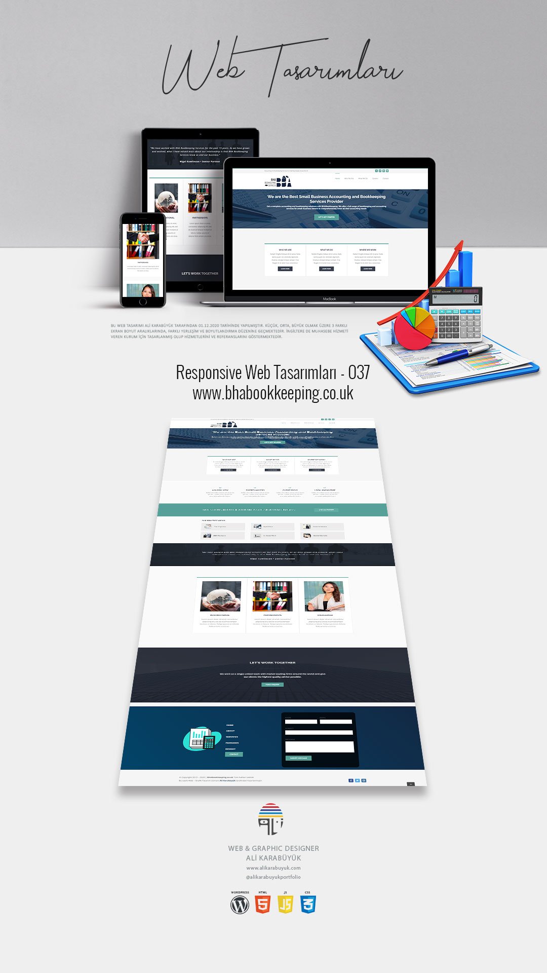 Muhasebeci Web Tasarımı