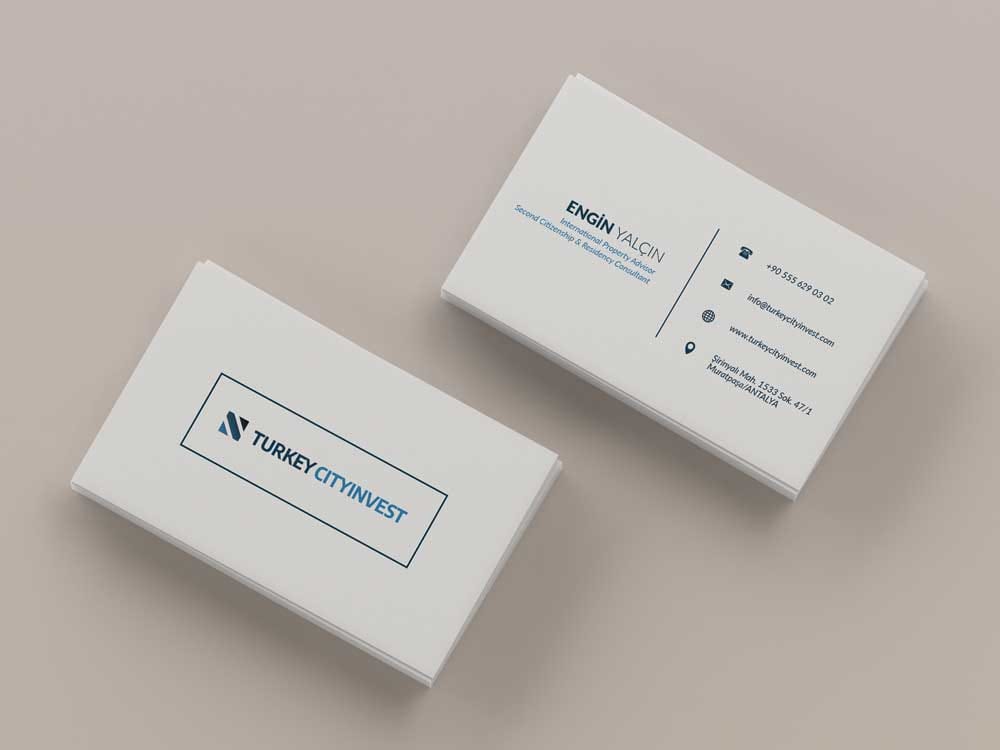 Minimal Kartvizit Tasarımı TN1401