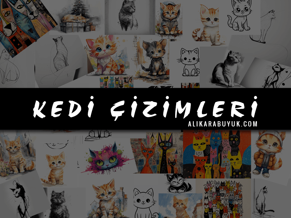 Dijital Kedi Çizimi