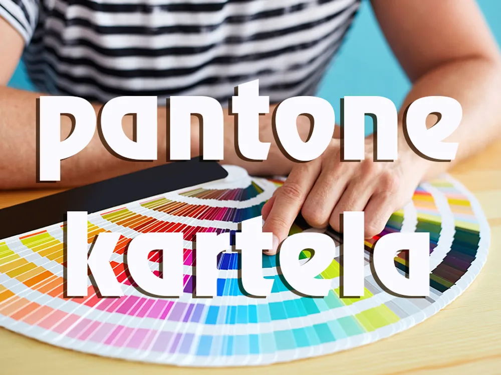 Pantone Renk Katoluğu Tüm Renkler