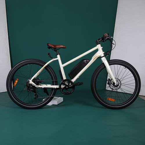 bisiklet dekupe oncesi 01