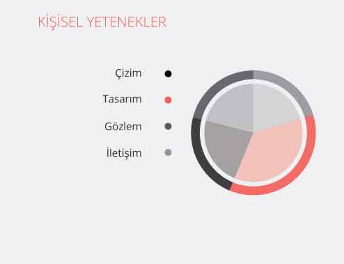 Örneklerle CV Tasarımı 8 Örneklerle CV Tasarımı Kişisel Yetenekler Grafiği
